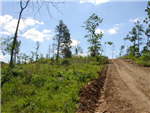 Missouri, Shannon County, 23.92 Acres Antler Ridge. TERMS $215/Month