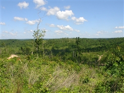 Missouri, Shannon County, 20.86 Acres Antler Ridge. TERMS $240/Month