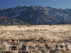 New Mexico, Valencia County, .25 Acre Rio Del Oro.