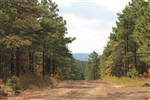 Oklahoma, Pittsburg County, 21.32 Acres Indian Ridge III, Creek, Electricity. TERMS $390/Month