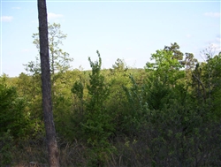 Oklahoma, Latimer  County, 5 Acre Pine Mountain Ranch. TERMS $185/Month