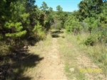 Oklahoma, Latimer  County, 5 Acre Pine Mountain Ranch. TERMS $185/Month