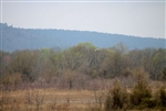 Oklahoma, Pittsburg County, 10.01 Acre Daisy Meadows. TERMS $400/Month