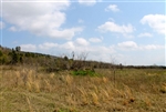 Oklahoma, Pittsburg County, 5.01 Acres Daisy Meadows,  Creek. TERMS $185/Month.