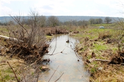 Oklahoma, Pittsburg County, 5.0 Acre Daisy Meadows, CABIN. TERMS $350/Month