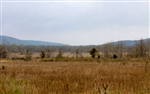 Oklahoma, Pittsburg County, 5.01 Acre Daisy Meadows. TERMS $190/Month