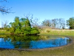 Oklahoma, Okfuskee County, 5 Acre Saddlebrook Ranch, Pond. TERMS $260/Month