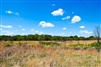 Oklahoma, Okfuskee County, 5.30 Acre Saddlebrook Ranch, Creek, Electricity. TERMS $294/Month