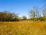 Oklahoma, Okfuskee County, 12.3  Acre Saddlebrook Ranch, Creek, Electricity. TERMS $430/Month