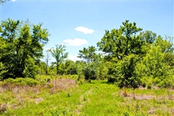 Oklahoma, Okfuskee County, 6.2 Acre Saddlebrook Ranch. TERMS $200/Month