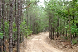 Oklahoma, Pushmataha County, 15.1 Acre Trophy Ridge II. TERMS $280/Month