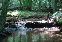 Tennessee, Wayne County, 10.66  Acre Sugartree Falls. TERMS $430/Month