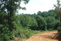 Tennessee, Wayne County, 6.48 Acre Sugartree Falls. TERMS $384/Month