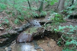 Tennessee, Wayne County, 6.52  Acre Sugartree Falls, Creek, Waterfall. TERMS $170/Month