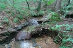 Tennessee, Wayne County, 7 Acres Sugartree Falls. TERMS $220/Month