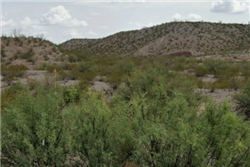 Texas, Presidio County, 1.00 Acre Orient Addition, Lot 1 Block 10.  TERMS $63/Month