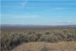 Texas, Presidio County, 80 Acres Presidio,  East 1/2 of the NW1/4 of T&P Ry. Co. Survey, Section 7, Block 1.  TERMS $912/Month