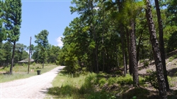 Texas, Bastrop County, 0.25 Acre Tahitian Village Resort, B2, Lot 126. TERMS $490/Month