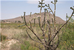 Texas, Hudspeth County, 0.17 Acre Sierra Blanca, Lots 27. TERMS $51/Month