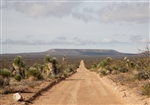 Texas, Hudspeth County, 20 Acre Sunset Ranches, Lot 7 Unit 555. TERMS $110/Month