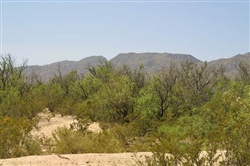 Texas, Hudspeth County, 20 Acre Sunset Ranches. TERMS $164/Month