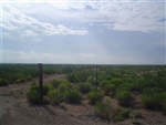 Texas, Reeves County, 30 Acres. TERMS $200/Month