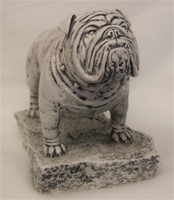Bulldog by Terrance Patterson