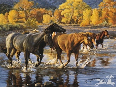 Horses of the Creek by Tim Cox