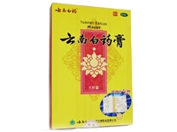 100 boxes Yunnan Baiyao Plaster 5 Patches/Box