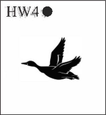 Katzkin Embroidery - Flying Duck