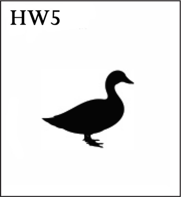 Katzkin Embroidery - Duck