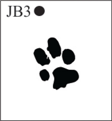 Katzkin Embroidery - Paw Print