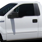 Ford F150 Painted Body Side Moldings, 2004, 2005, 2006, 2007, 2008