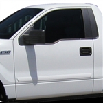 Ford F150 Painted Body Side Molding, 2009, 2010, 2011, 2012, 2013, 2014