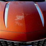 Cadillac XT4 Hood Accent Trim 2019, 2020, 2021, 2022, 2023, 2024, 2025