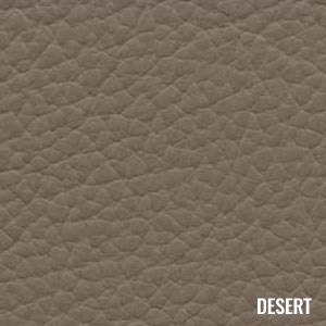 Katzkin Color Desert