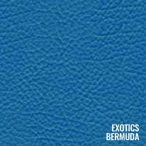 Katzkin Color Exotic Bermuda