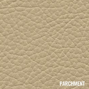 Katzkin Color Parchment