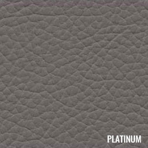 Katzkin Color Platinum