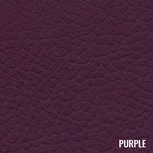 Katzkin Color Purple