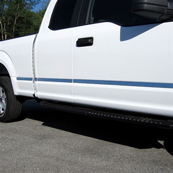 Ford F150 Chrome Molding Insert Trim, 2015, 2016, 2017, 2018, 2019, 2020