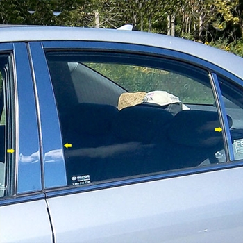 Hyundai Sonata Chrome Pillar Post Trim, 6pc  2006, 2007, 2008, 2009. 2010