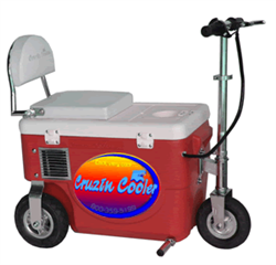 Cruzin Cooler 500 Watt