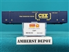 469 00 012 Micro Trains  CSX 53'  Container Car