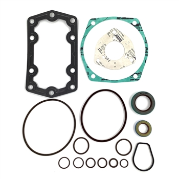 Chelsea Gasket and Seal Kit P/N: 329071-19X or 32907119X PTO parts