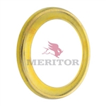Meritor Retainer - Fin. P/N: 1205K193