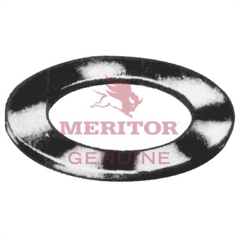 Meritor Washer P/N: 1229P302