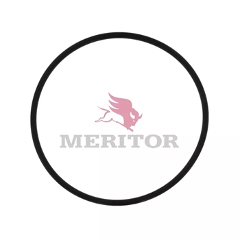 Meritor Hub Cap/O-Ring P/N: R005500