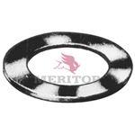 Meritor Washer - Anc Pin P/N: R547003