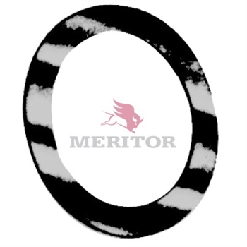 Meritor Washer P/N: R627031